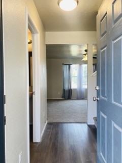 13513 Palm Beach Dr #1 - Photo 4 of 36