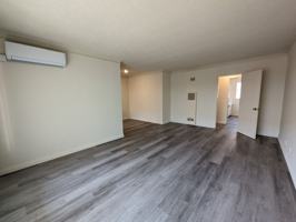 featured image of 250 N Oakland Ave