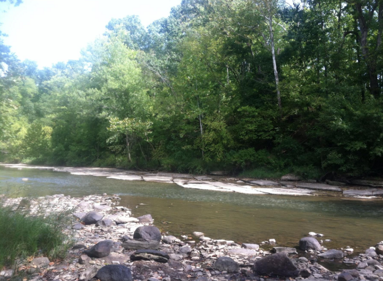 The Delaware - Photo 2 of 8