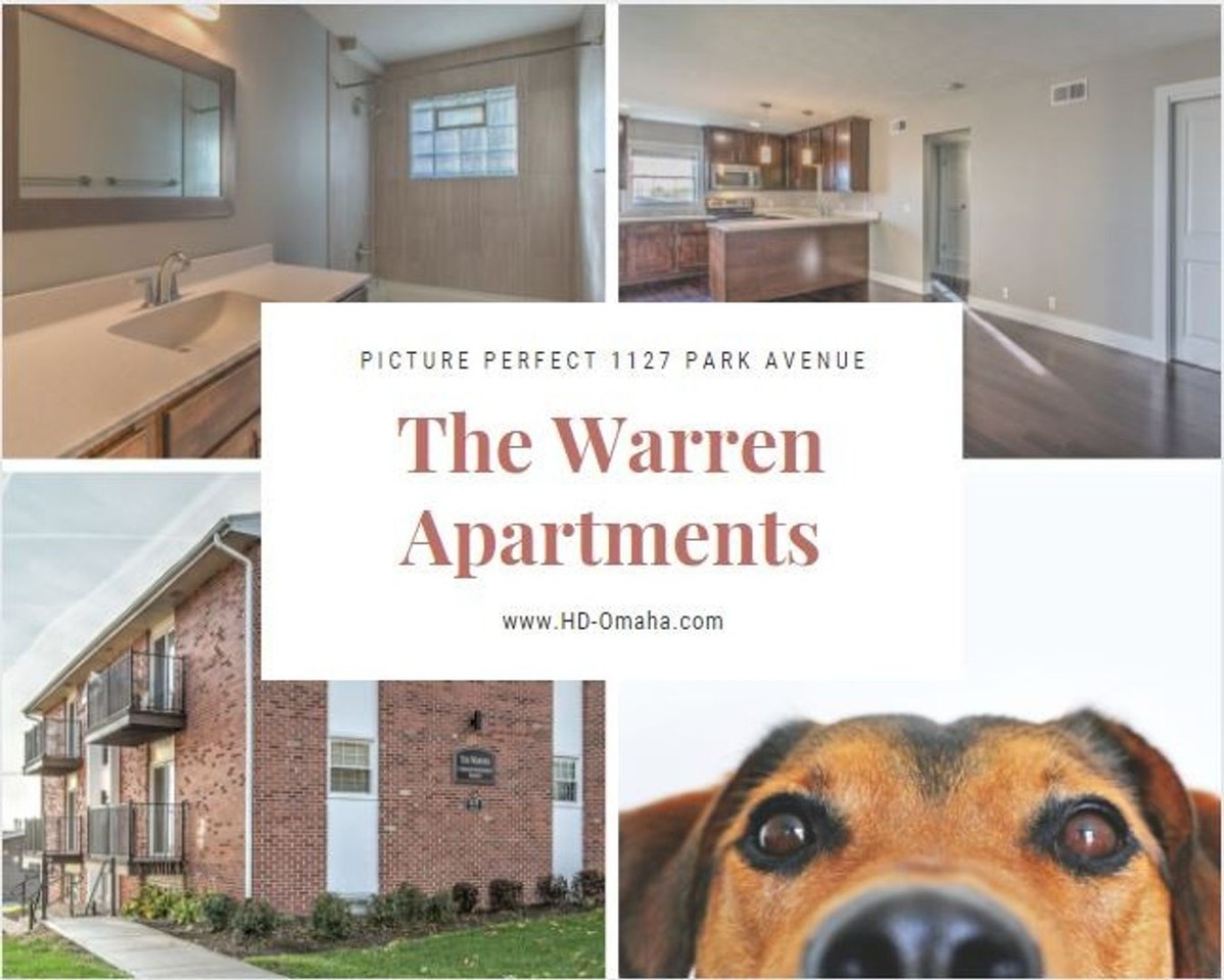 The Warren - Photo 4 of 20