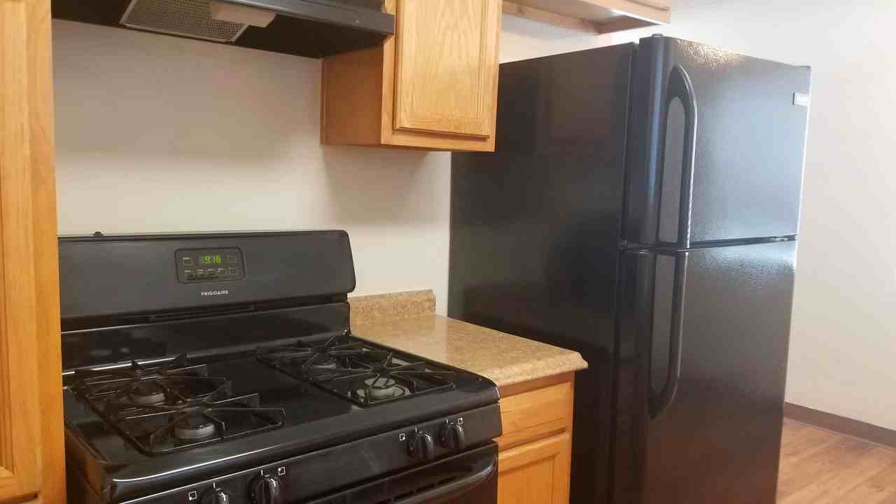 Bond - Photo 7 of 13