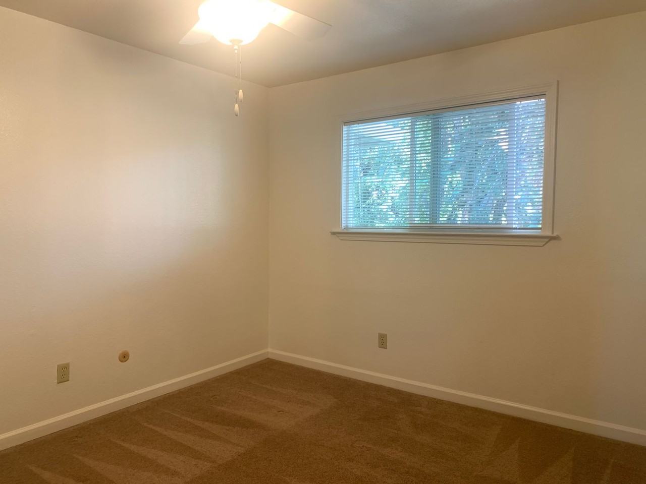 268 Douglas Street - Photo 7 of 11