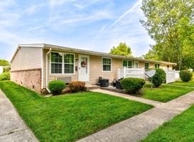 featured image of Ivy Ct