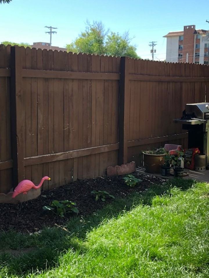 Lisa Rae Apartments - Photo 6 of 50