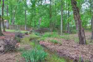 featured image of 4740 Savannah Ln