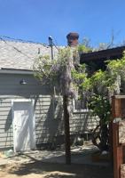 featured image of 1987 Plumas St