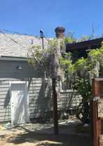 1987 Plumas, Unit 2- Downstairs - Photo 1 of 1