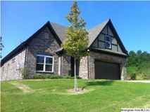 229 Chapel Hill Trl - Photo 1 of 1