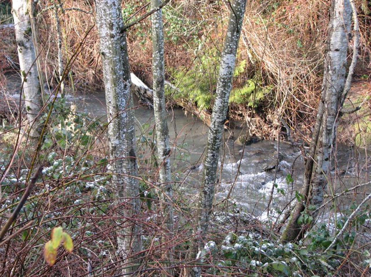 Beavercreek Meadows - Photo 3 of 50