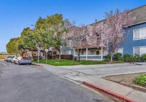 featured image of 1457 N Camino Alto #308