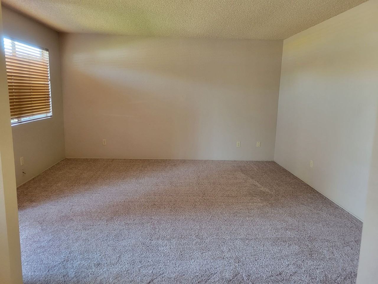 811 Gerry Ln - Photo 2 of 12