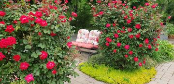 featured image of 404 Church St #4