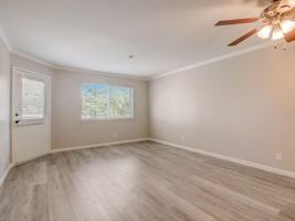 featured image of 20 North Ave