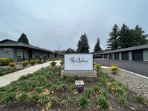 The Chelsea by Star Metro - Photo 1 of 1