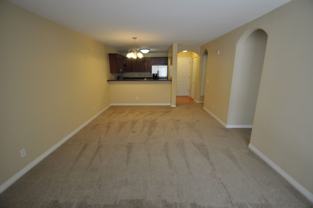 4540 60th St #206 - Photo 1 of 1