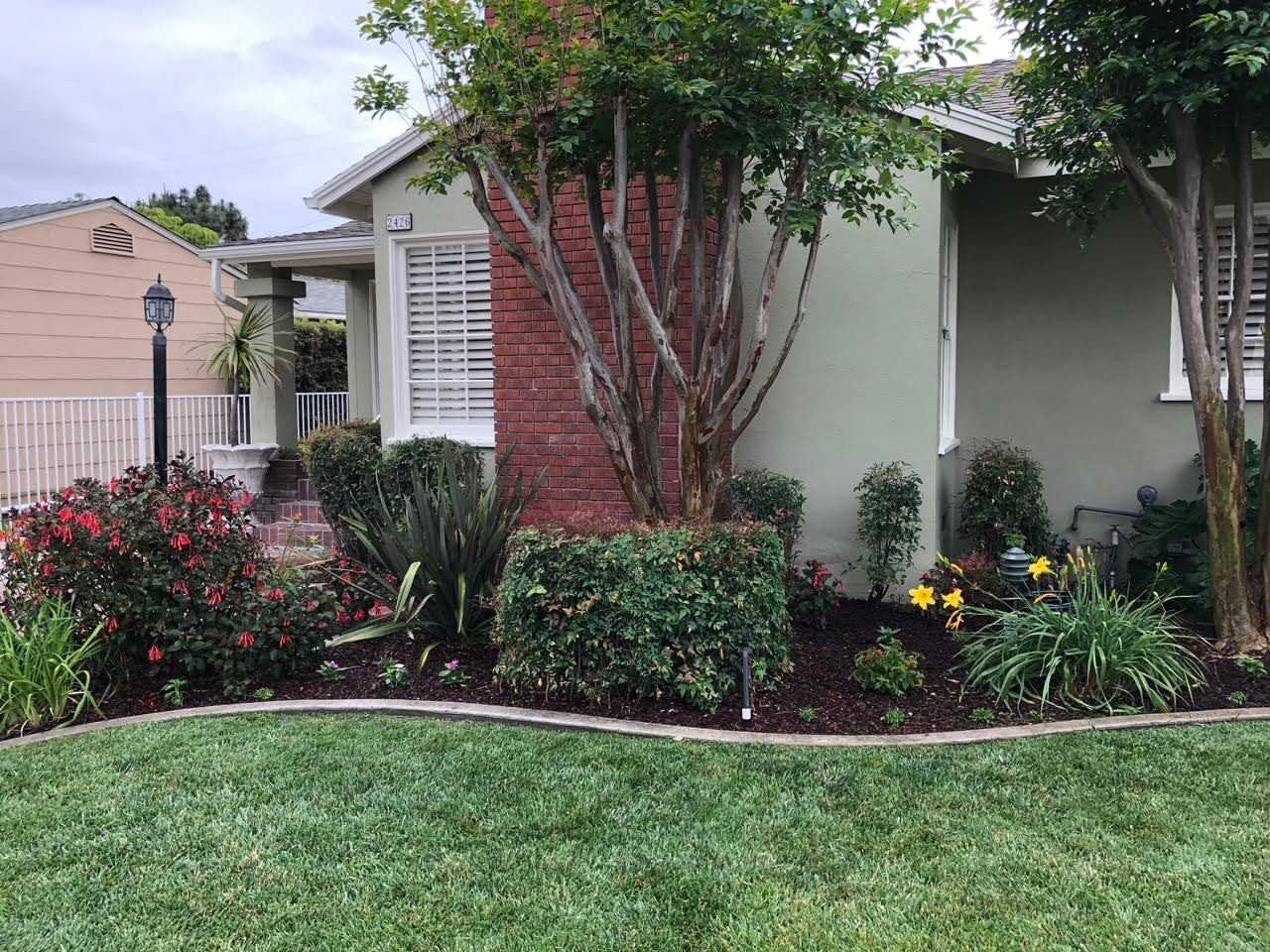 2426 French St - Photo 2 of 16