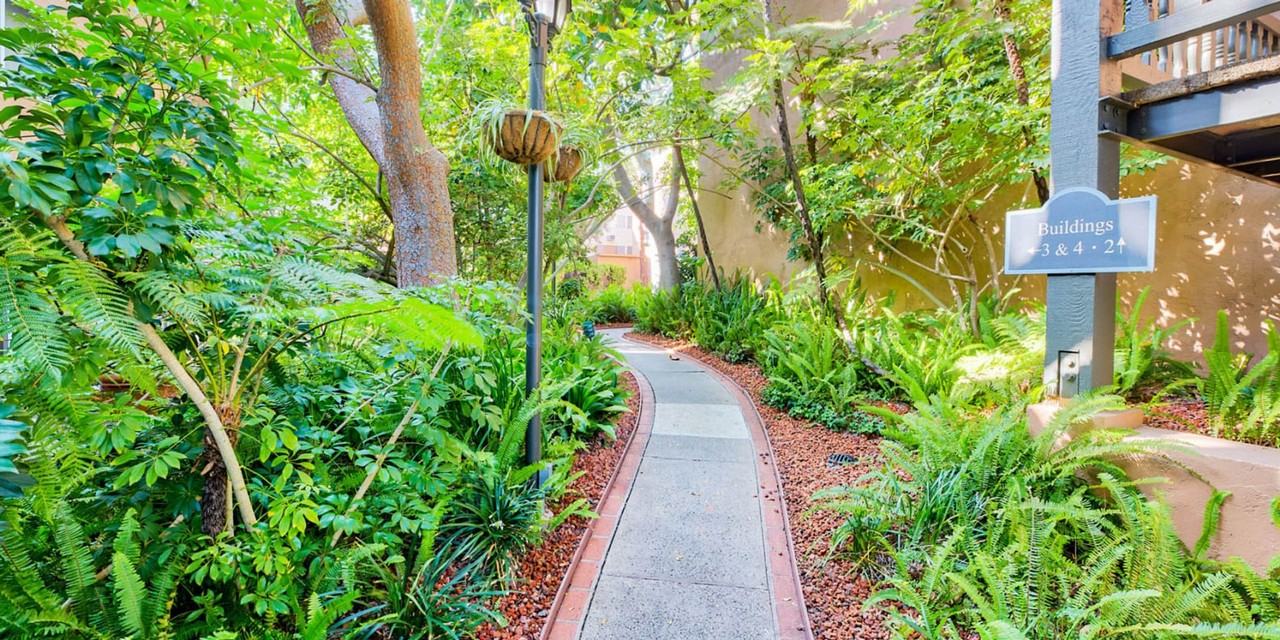 Ecco CG - Photo 2 of 45