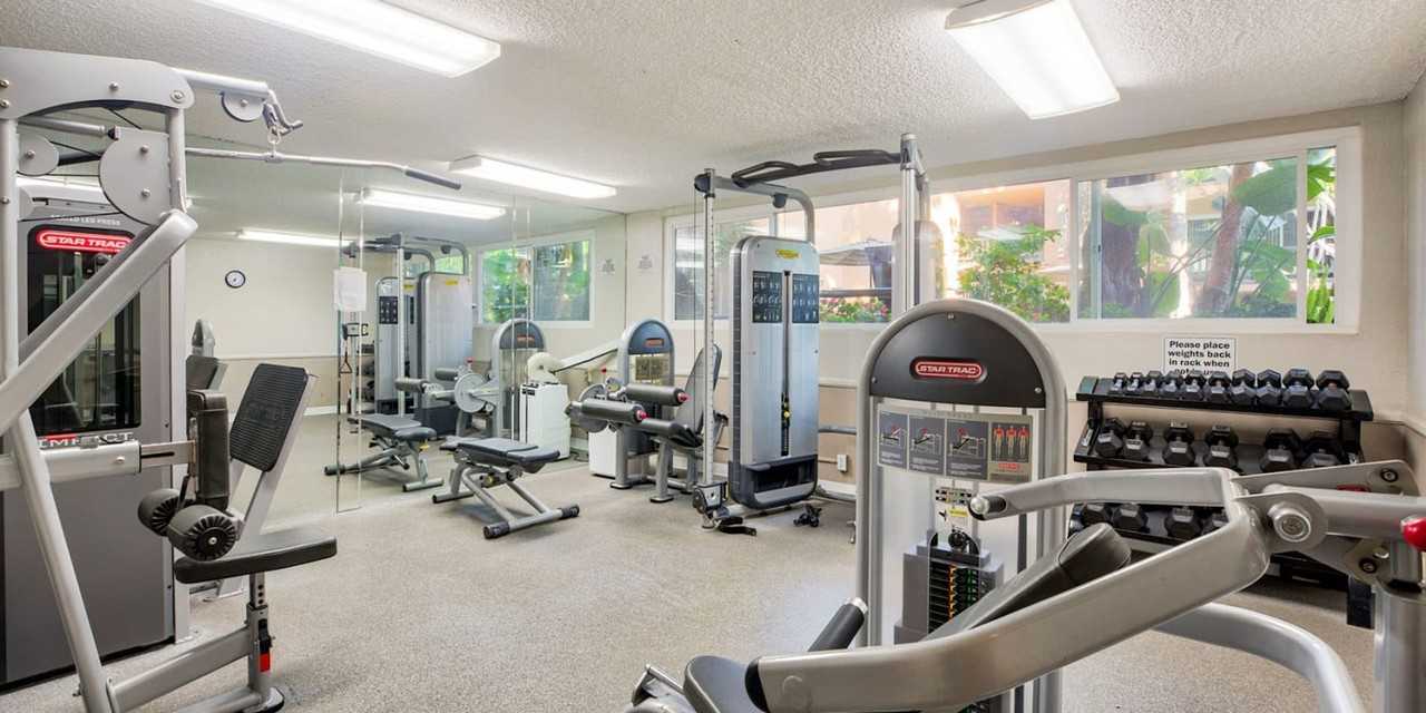 Ecco CG - Photo 3 of 45