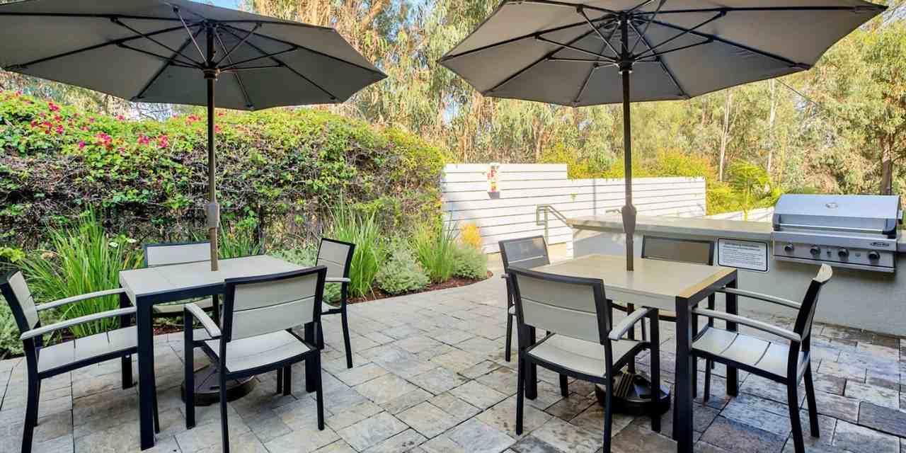 Ecco CG - Photo 5 of 45