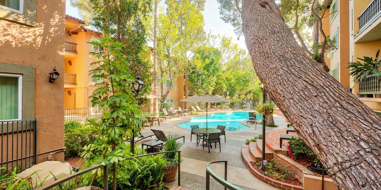 Ecco CG - Photo 7 of 45