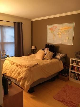 172 Newton St #6 - Photo 3 of 7