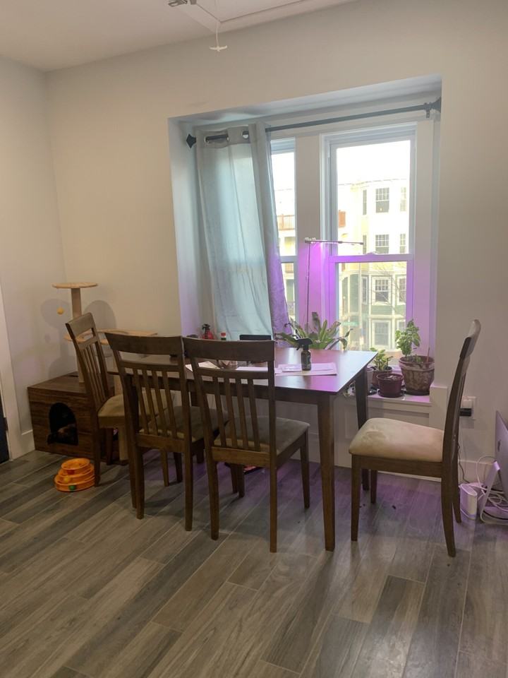 4045 Washington St #3 - Photo 3 of 17