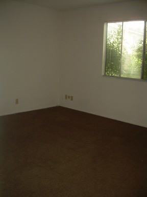 2724 Argolis Way - Photo 3 of 16