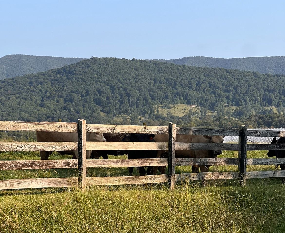 579 Mount Joy Rd #NA - Photo 3 of 26