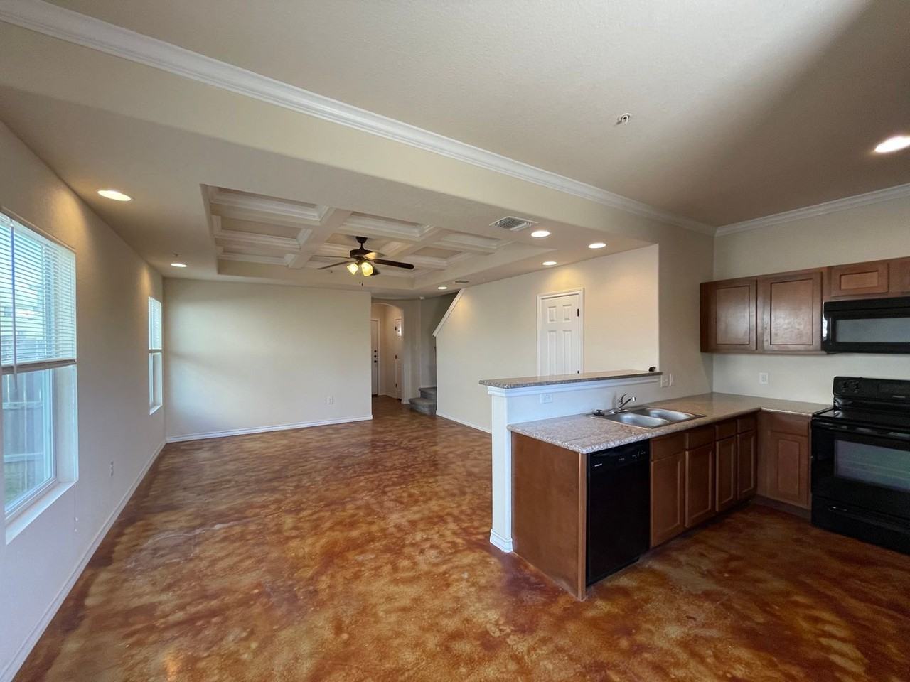 16823 16823 Dancing Ava - 4 #4 - Photo 4 of 16