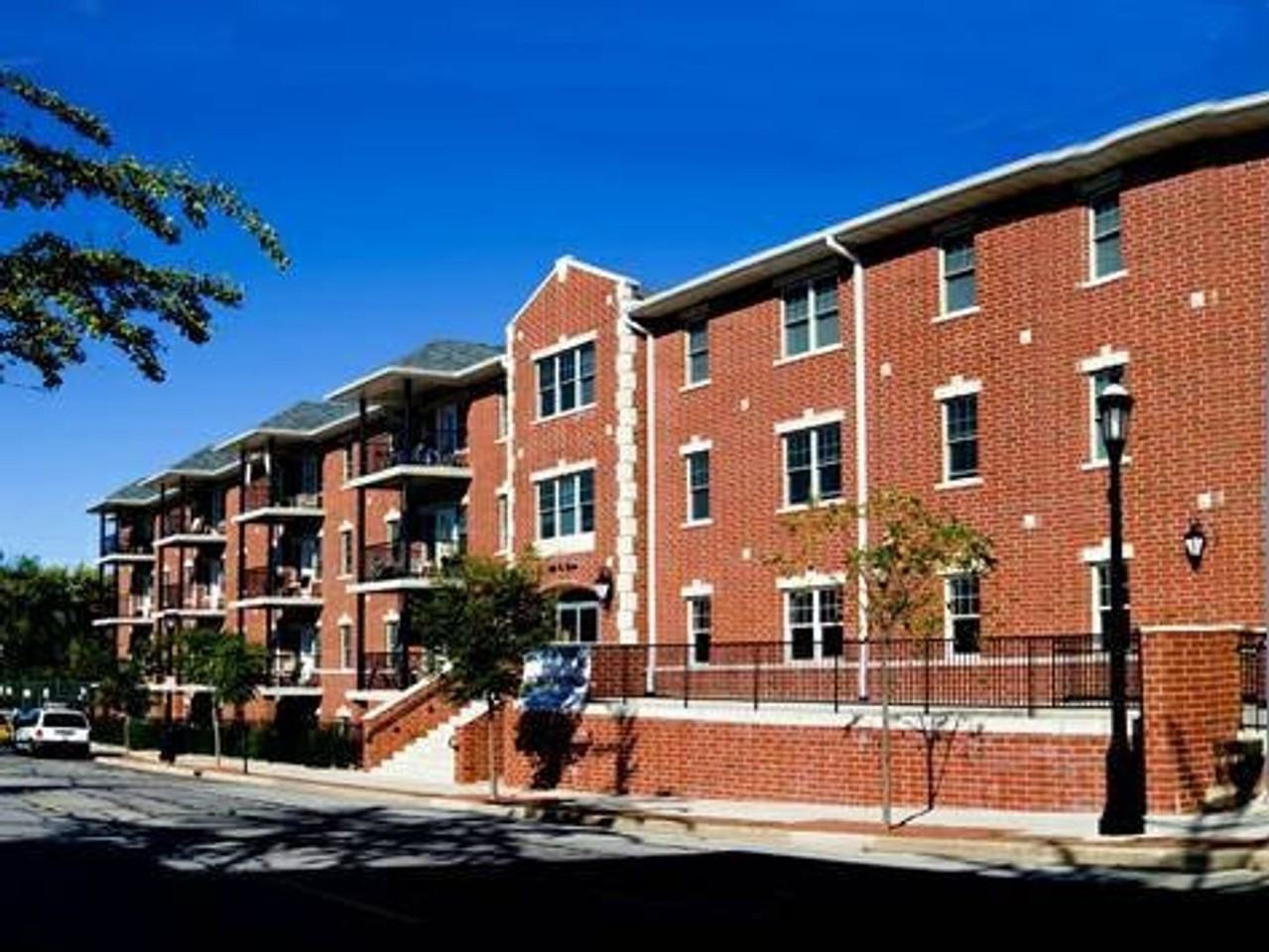 202 Race - Photo 5 of 50