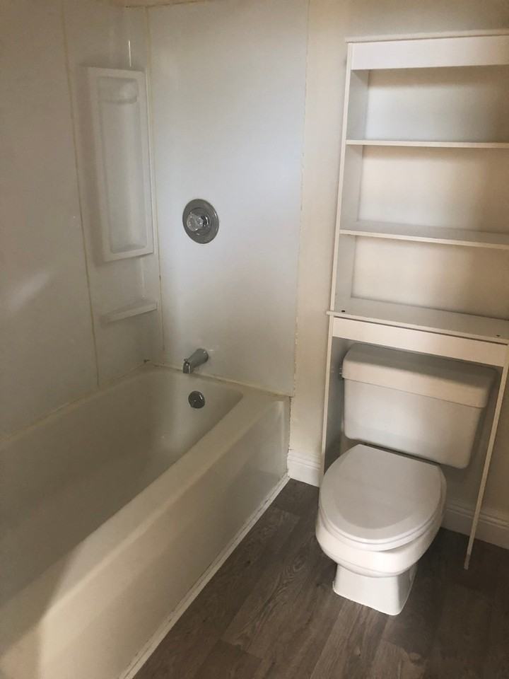 202COL - Photo 3 of 20