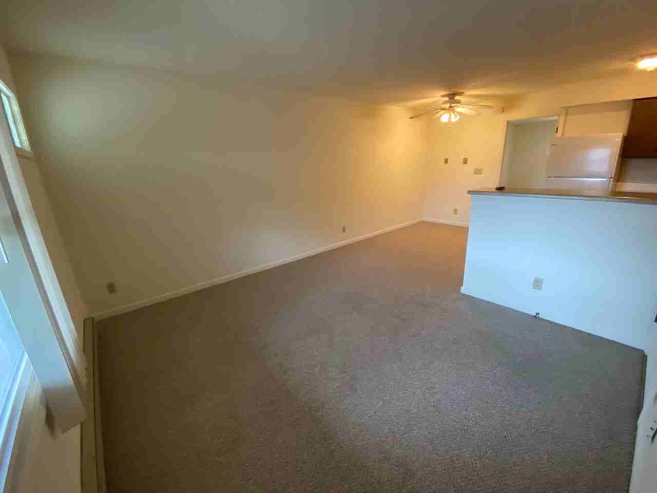 307 Birch St - Photo 2 of 12