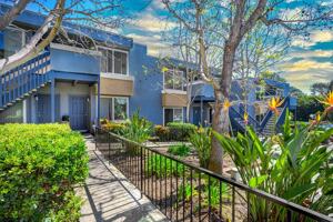 featured image of 2449 Soto St