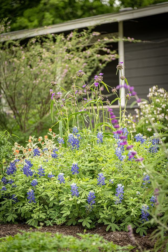 5204 Saint Georges Grn #NA - Photo 3 of 23