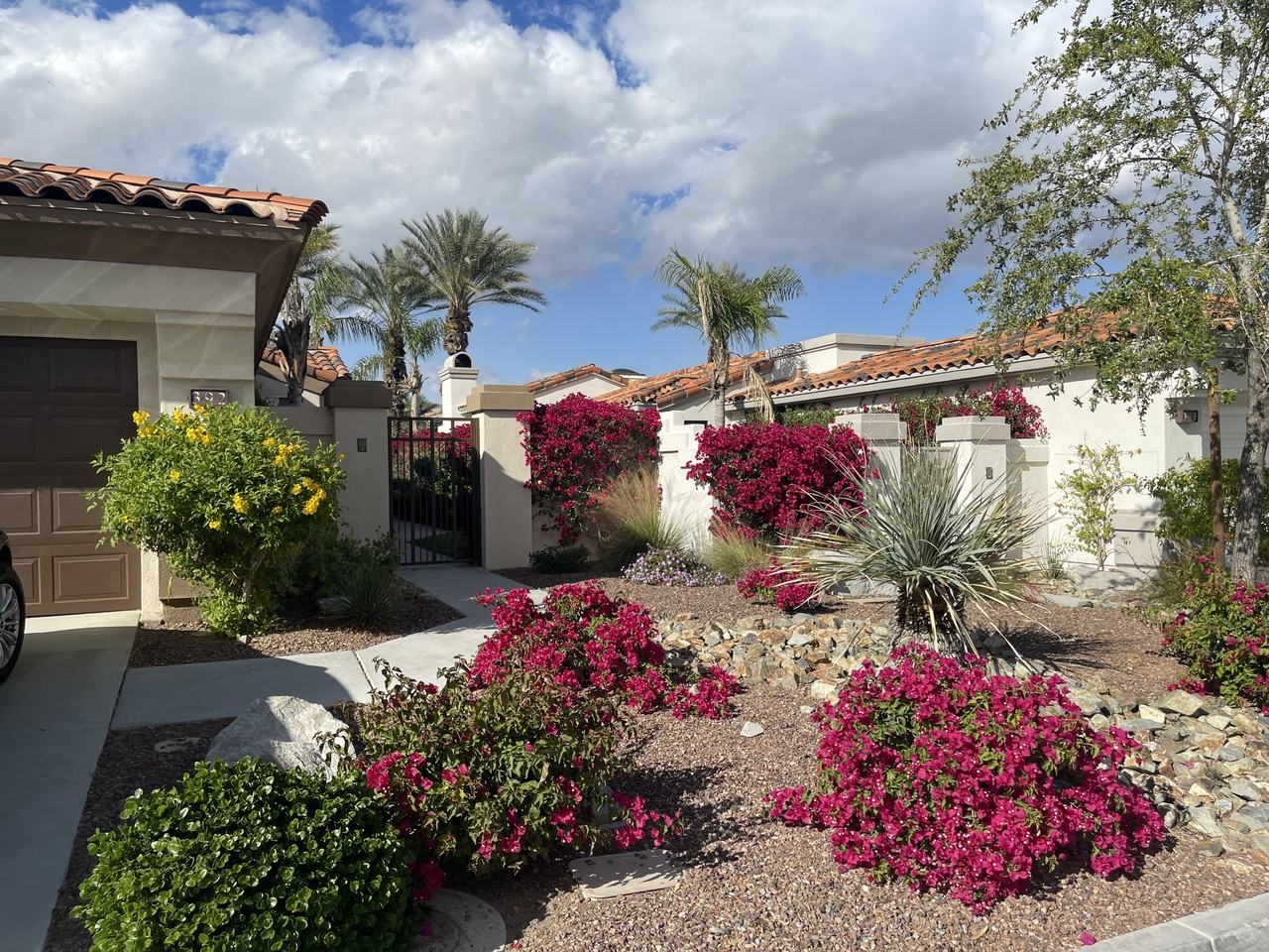 392 Desert Holly Dr #392 - Photo 4 of 24
