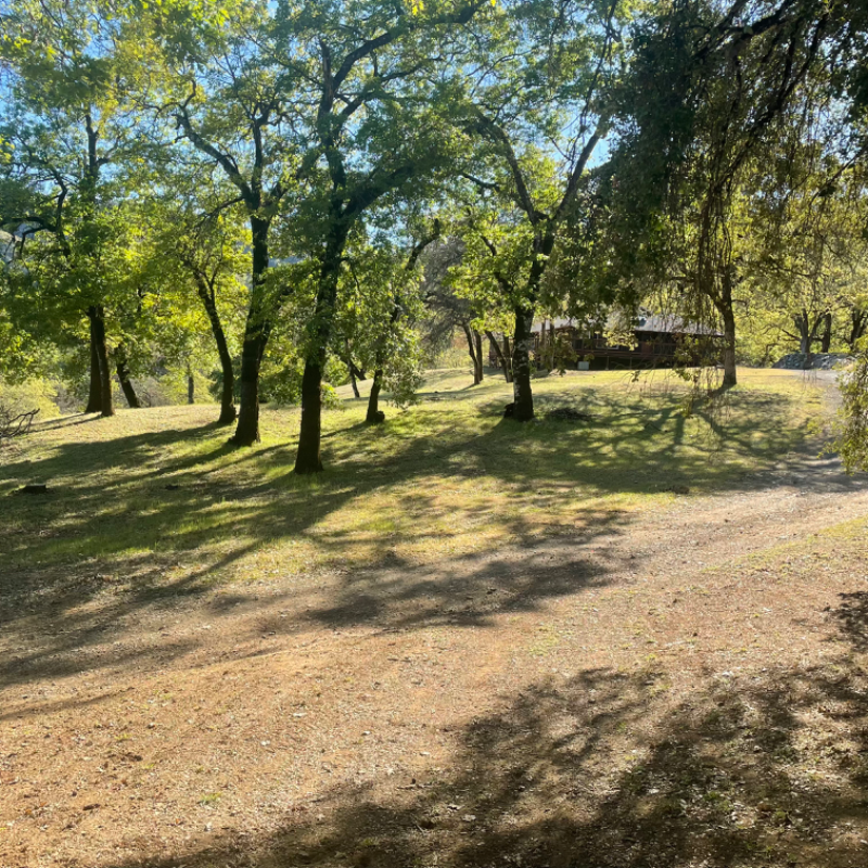 8670 Feliz Creek Dr - Photo 2 of 20