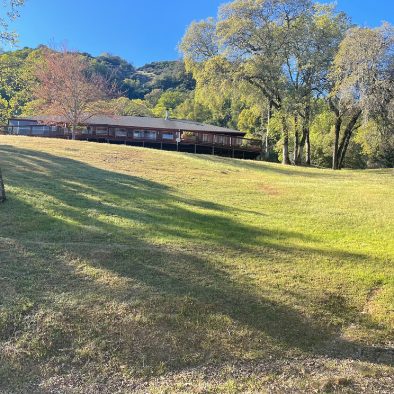 8670 Feliz Creek Dr - Photo 3 of 20