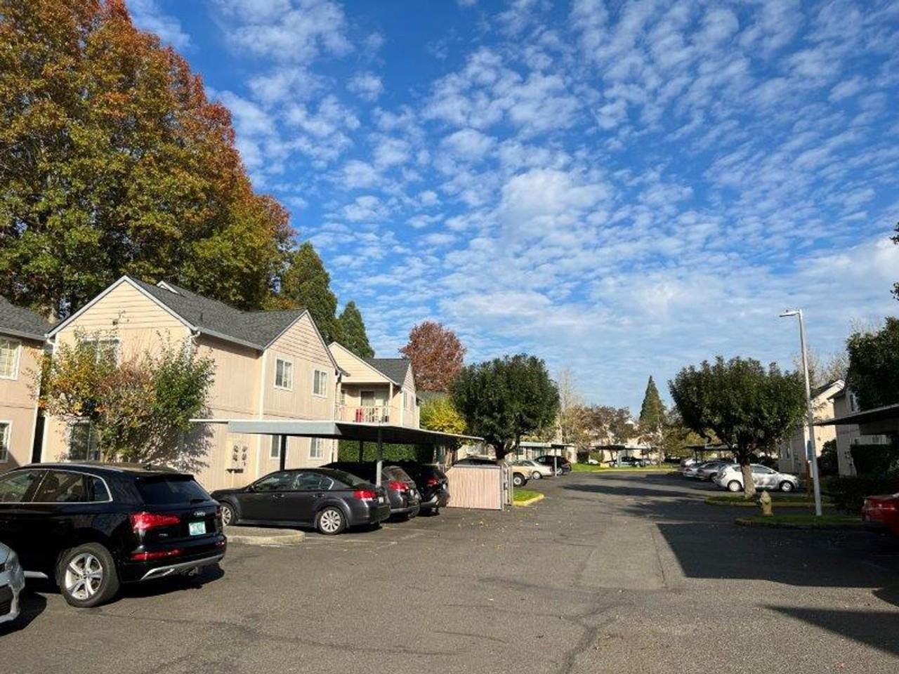 Wildflower Apartments - Photo 3 of 15