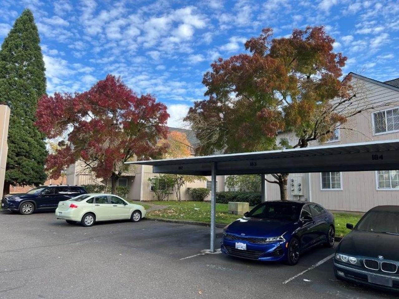 Wildflower Apartments - Photo 6 of 15