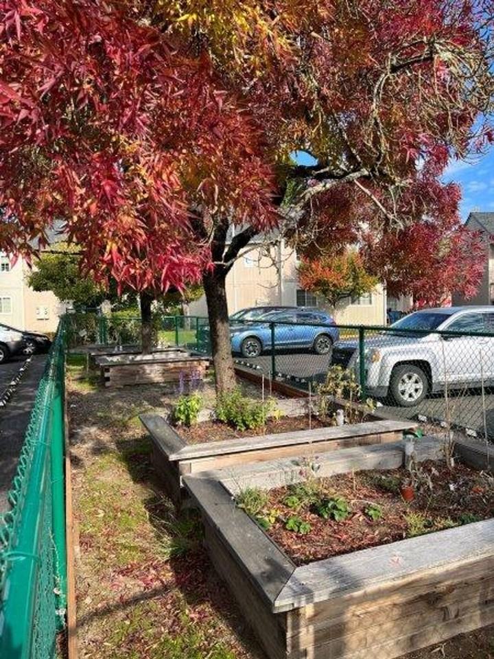 Wildflower Apartments - Photo 7 of 15