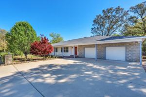 featured image of 307 Palmetto Ave