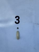 featured image of 2208 Stoneybrook Rd #3