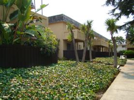 Mediterranean Apartments - Photo 1 of 1