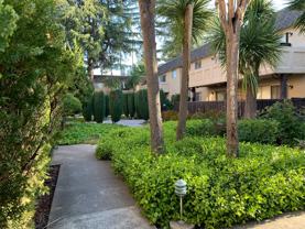 Mediterranean Apartments - Photo 1 of 1