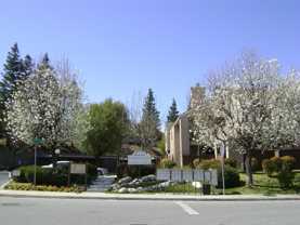 Canyon Creek Apartments - Photo 1 of 1