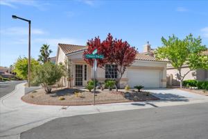 featured image of 10101 Pinnacle View Pl