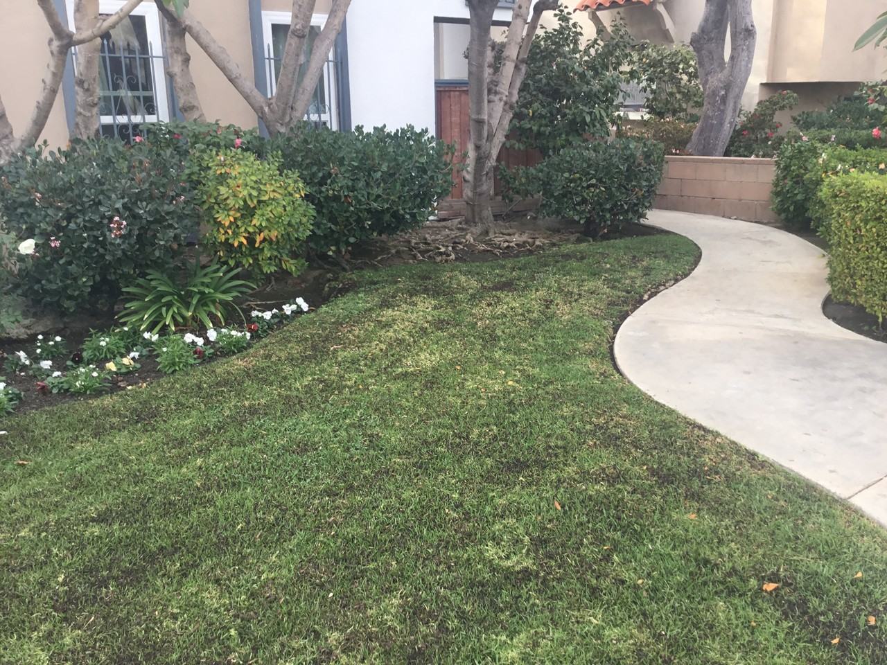 LUXURY LIVING AT AN AFFORDABLE PRICE. - Photo 3 of 5