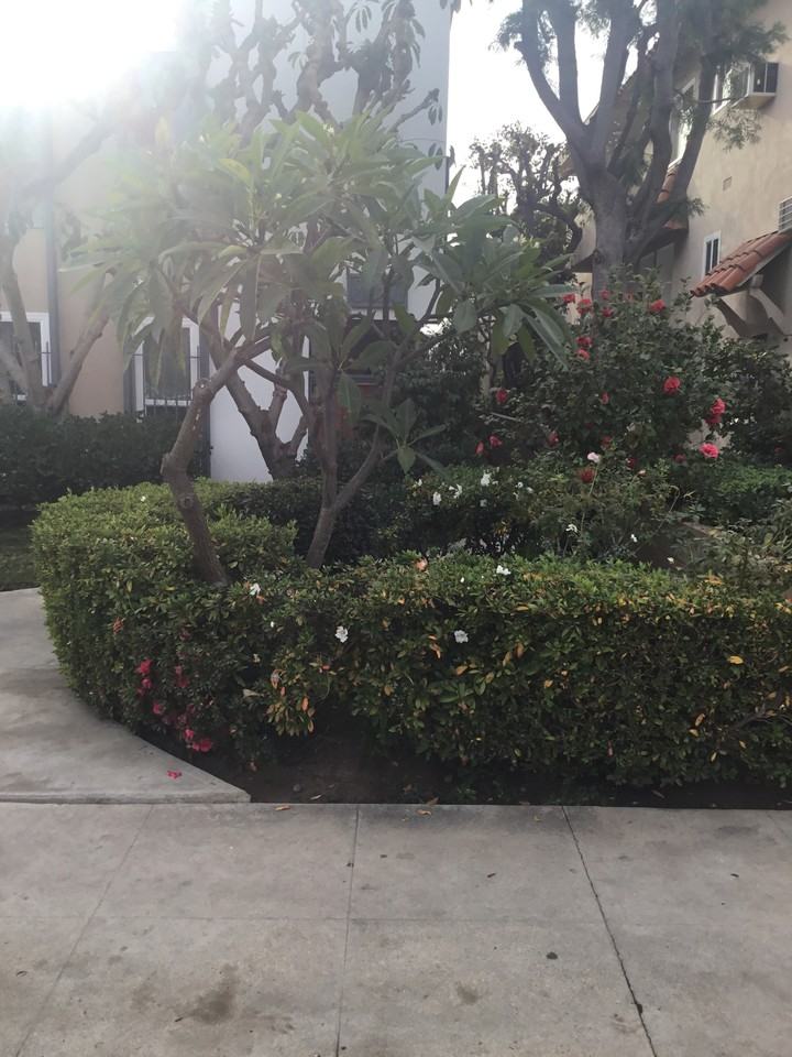 LUXURY LIVING AT AN AFFORDABLE PRICE. - Photo 5 of 5