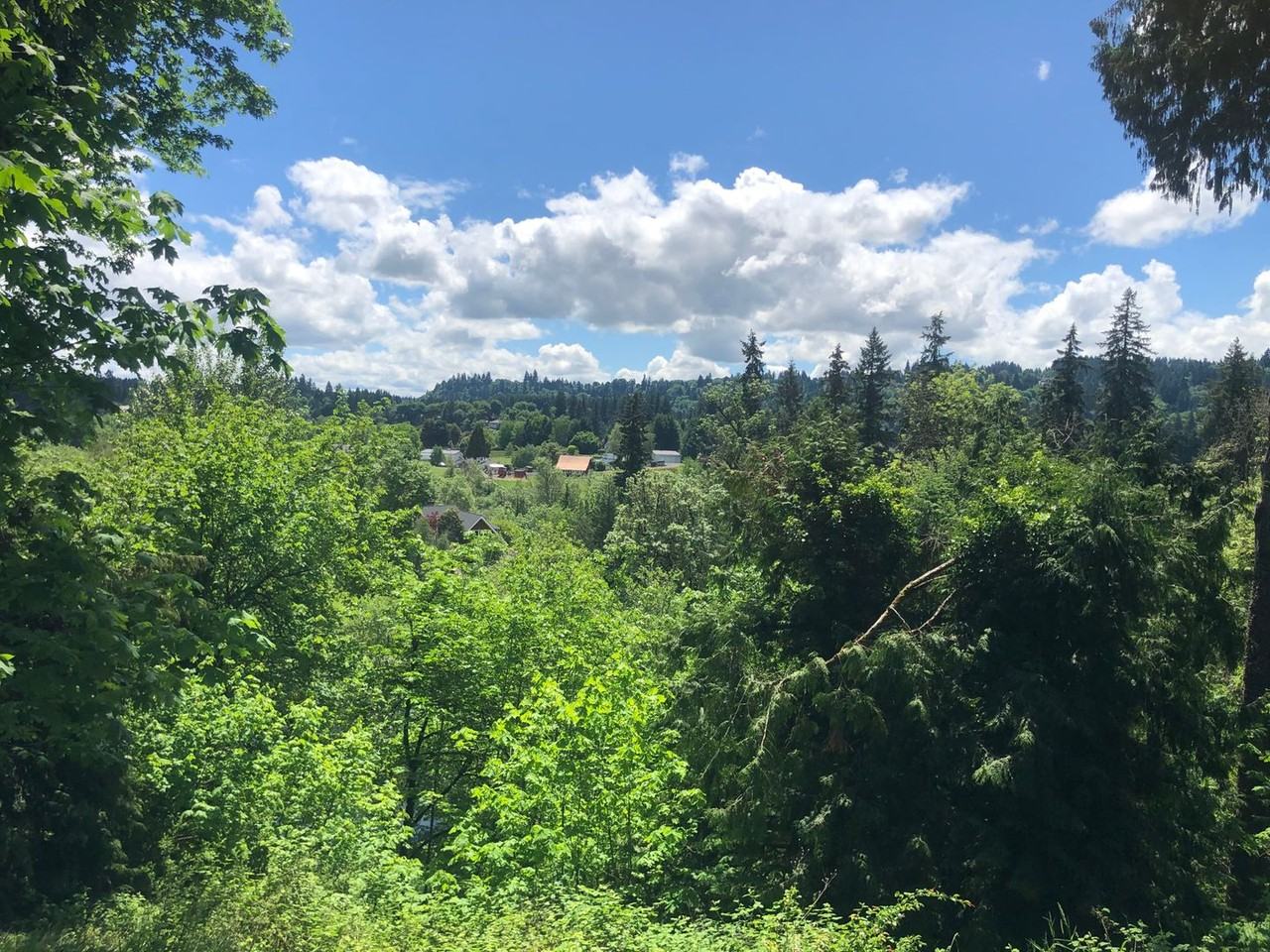 22757 Sw Johnson Rd - Photo 4 of 50