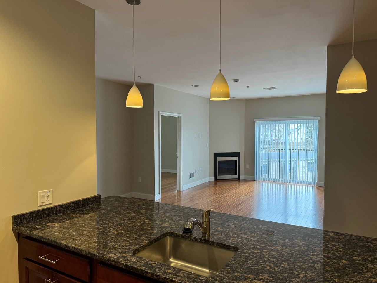 28 Goodhue St #213 - Photo 5 of 24